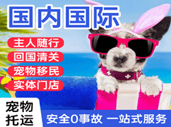 永州零陵机场快递国际宠物托运 【国
